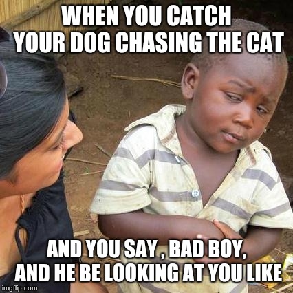 Third World Skeptical Kid Meme | WHEN YOU CATCH YOUR DOG CHASING THE CAT; AND YOU SAY , BAD BOY, AND HE BE LOOKING AT YOU LIKE | image tagged in memes,third world skeptical kid | made w/ Imgflip meme maker