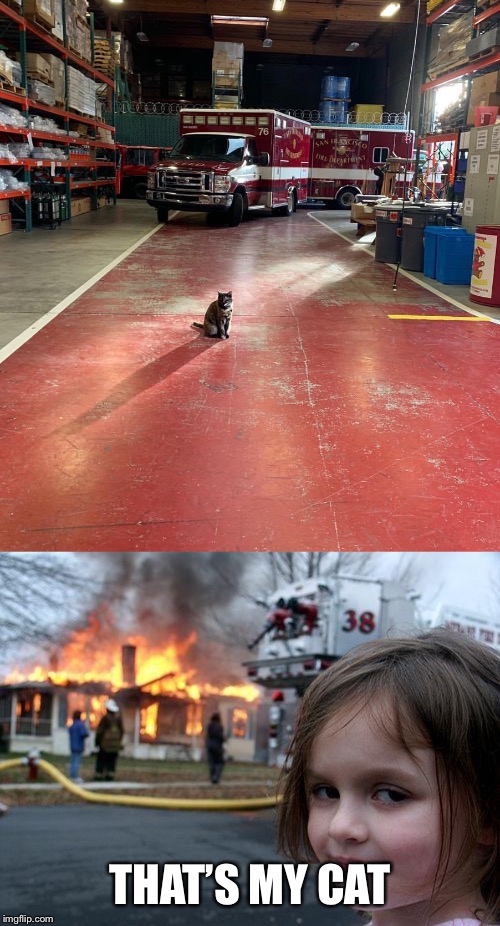 Image tagged in memes,disaster girl,firestation cat - Imgflip