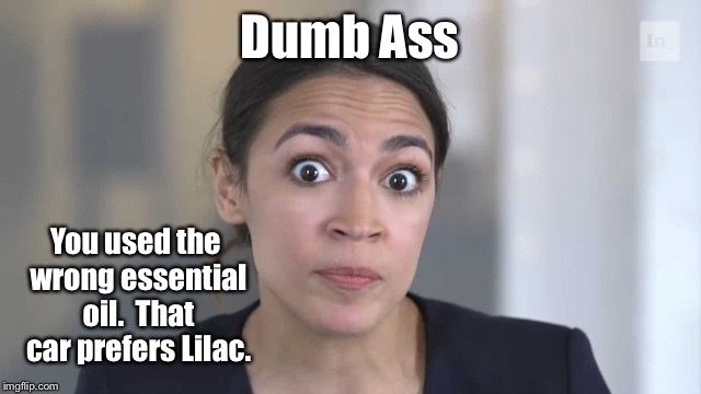 Crazy Alexandria Ocasio-Cortez | Dumb Ass You used the wrong essential oil.  That car prefers Lilac. | image tagged in crazy alexandria ocasio-cortez | made w/ Imgflip meme maker