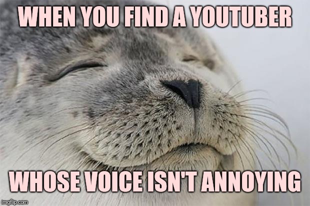 Satisfied Seal | WHEN YOU FIND A YOUTUBER; WHOSE VOICE ISN'T ANNOYING | image tagged in memes,satisfied seal | made w/ Imgflip meme maker