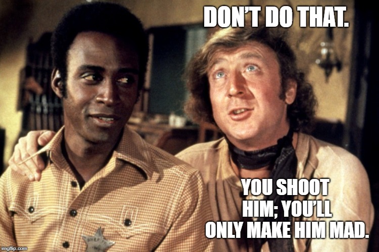 Blazing Saddles Morons | DON’T DO THAT. YOU SHOOT HIM; YOU’LL ONLY MAKE HIM MAD. | image tagged in blazing saddles morons | made w/ Imgflip meme maker