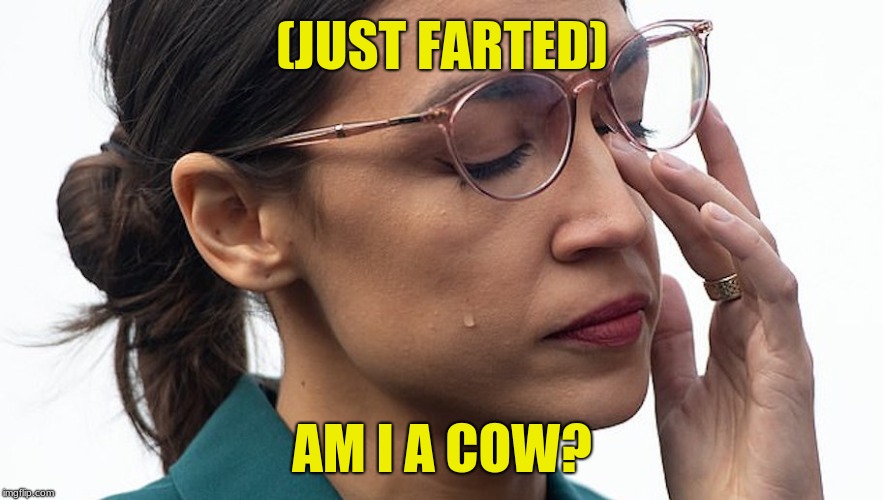 The New Green Deal: If it's good enough for cows... | (JUST FARTED); AM I A COW? | image tagged in her brain is sweating,memes,alexandria ocasio-cortez,farts,cows,new green deal | made w/ Imgflip meme maker