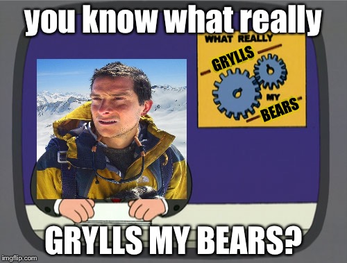 Peter Grylls News | you know what really; GRYLLS; BEARS; GRYLLS MY BEARS? | image tagged in memes,peter griffin news,bear grylls,you know what really grinds my gears | made w/ Imgflip meme maker