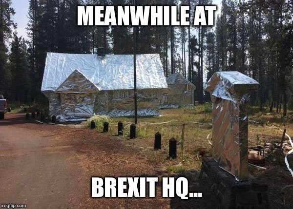 MEANWHILE AT; BREXIT HQ... | image tagged in politics,brexit,tinfoil hat | made w/ Imgflip meme maker