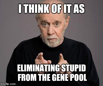 george carlin | I THINK OF IT AS ELIMINATING STUPID FROM THE GENE POOL | image tagged in george carlin | made w/ Imgflip meme maker