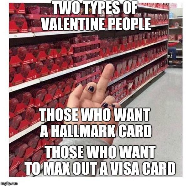 Valentine's Day | TWO TYPES OF VALENTINE PEOPLE; THOSE WHO WANT A HALLMARK CARD; THOSE WHO WANT TO MAX OUT A VISA CARD | image tagged in valentine's day | made w/ Imgflip meme maker