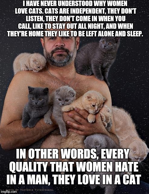 Cat man | I HAVE NEVER UNDERSTOOD WHY WOMEN LOVE CATS. CATS ARE INDEPENDENT, THEY DON'T LISTEN, THEY DON'T COME IN WHEN YOU CALL, LIKE TO STAY OUT ALL NIGHT, AND WHEN THEY'RE HOME THEY LIKE TO BE LEFT ALONE AND SLEEP. IN OTHER WORDS, EVERY QUALITY THAT WOMEN HATE IN A MAN, THEY LOVE IN A CAT | image tagged in cat man | made w/ Imgflip meme maker