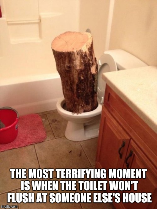 Toilet log | THE MOST TERRIFYING MOMENT IS WHEN THE TOILET WON'T FLUSH AT SOMEONE ELSE'S HOUSE | image tagged in toilet log | made w/ Imgflip meme maker