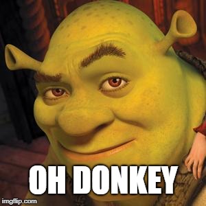 Shrek Sexy Face | OH DONKEY | image tagged in shrek sexy face | made w/ Imgflip meme maker