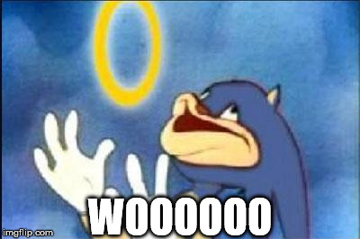 Sonic derp |  WOOOOOO | image tagged in sonic derp | made w/ Imgflip meme maker