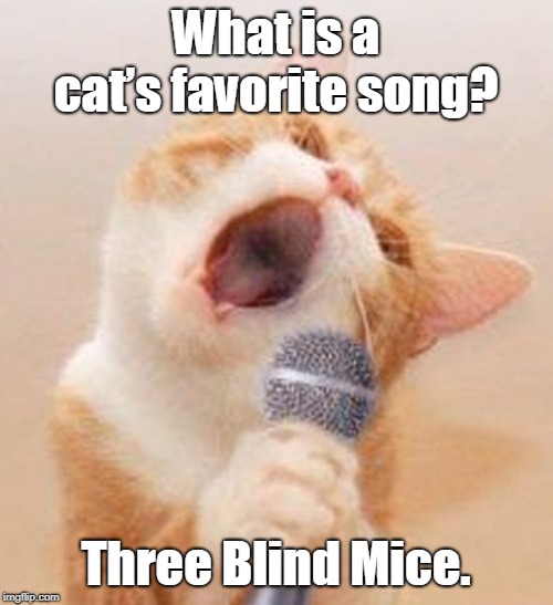 Cat favorite song | What is a cat’s favorite song? Three Blind Mice. | image tagged in cats | made w/ Imgflip meme maker