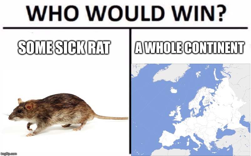 SOME SICK RAT; A WHOLE CONTINENT | image tagged in memes,rat,europe,black death,plague | made w/ Imgflip meme maker
