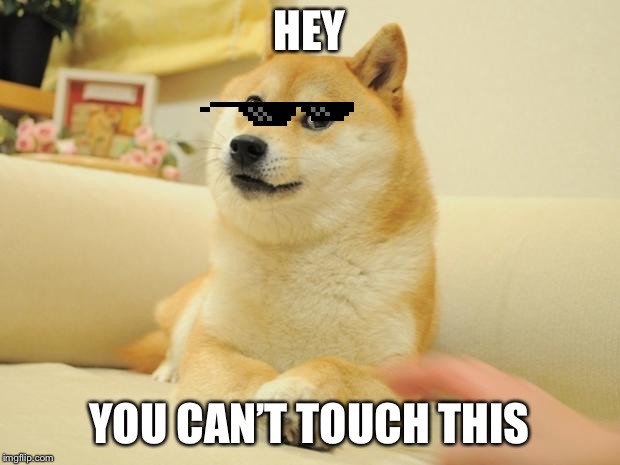 Doge 2 Meme | HEY; YOU CAN’T TOUCH THIS | image tagged in memes,doge 2 | made w/ Imgflip meme maker