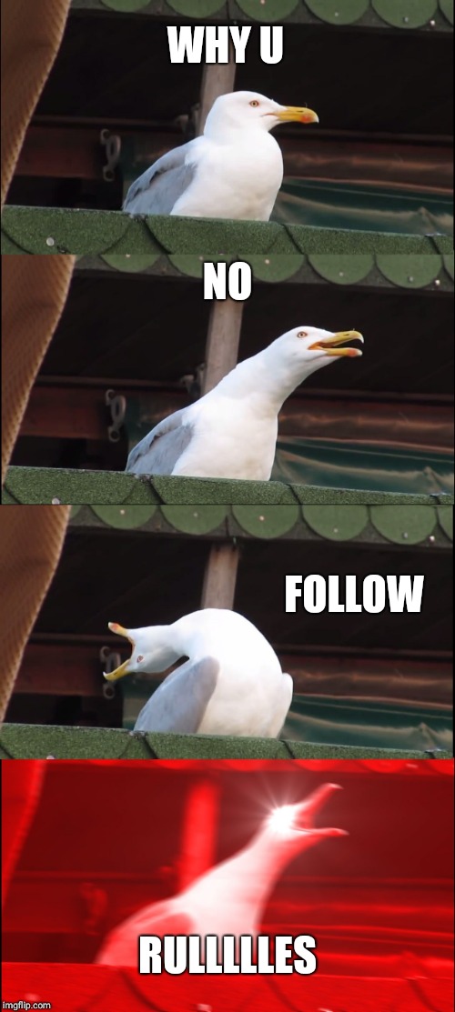Inhaling Seagull Meme | WHY U; NO; FOLLOW; RULLLLLES | image tagged in memes,inhaling seagull | made w/ Imgflip meme maker