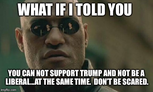 Matrix Morpheus Meme | WHAT IF I TOLD YOU YOU CAN NOT SUPPORT TRUMP AND NOT BE A LIBERAL...AT THE SAME TIME.  DON’T BE SCARED. | image tagged in memes,matrix morpheus | made w/ Imgflip meme maker