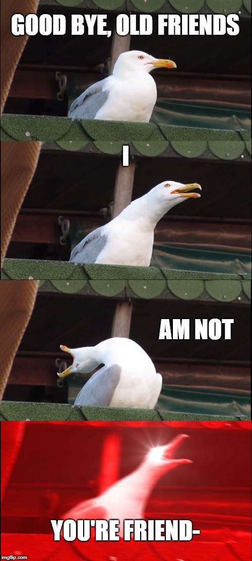 Inhaling Seagull Meme | GOOD BYE, OLD FRIENDS; I; AM NOT; YOU'RE FRIEND- | image tagged in memes,inhaling seagull | made w/ Imgflip meme maker