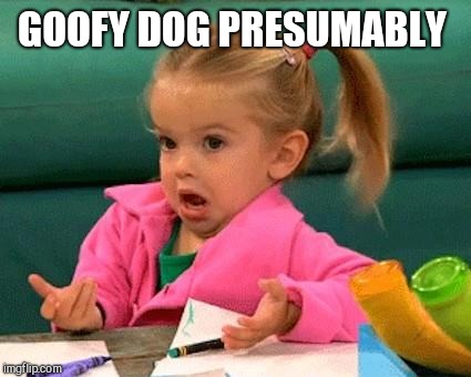 I Dunno | GOOFY DOG PRESUMABLY | image tagged in i dunno | made w/ Imgflip meme maker