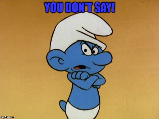 Grouchy Smurf | YOU DON'T SAY! | image tagged in grouchy smurf | made w/ Imgflip meme maker