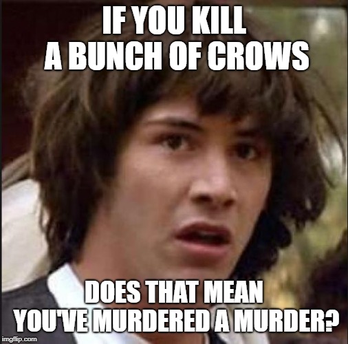I've always wondered this. | IF YOU KILL A BUNCH OF CROWS; DOES THAT MEAN YOU'VE MURDERED A MURDER? | image tagged in keanu reeves,AdviceAnimals | made w/ Imgflip meme maker
