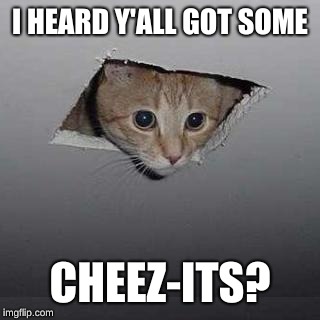 Ceiling Cat Meme | I HEARD Y'ALL GOT SOME; CHEEZ-ITS? | image tagged in memes,ceiling cat | made w/ Imgflip meme maker
