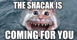 THE SHACAK IS; COMING FOR YOU | image tagged in funny | made w/ Imgflip meme maker
