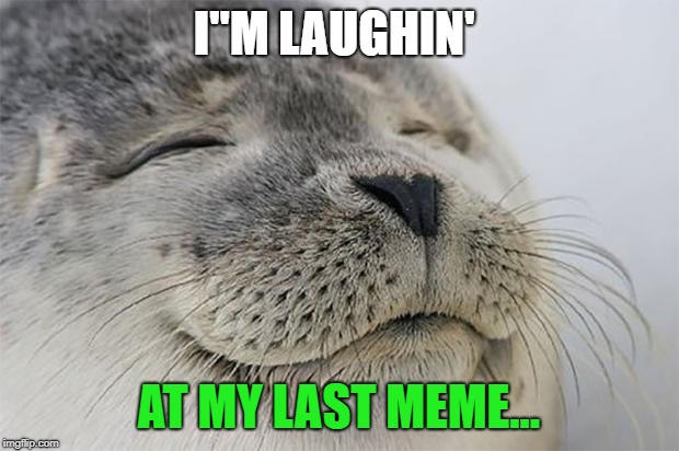 Satisfied Seal Meme | I"M LAUGHIN'; AT MY LAST MEME... | image tagged in memes,satisfied seal | made w/ Imgflip meme maker