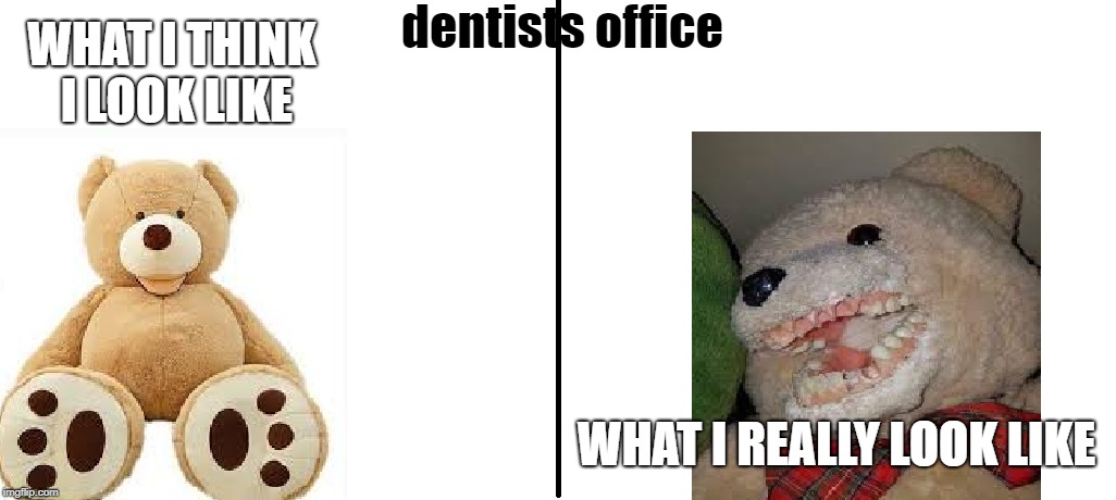 dentists visit | dentists office; WHAT I THINK I LOOK LIKE; WHAT I REALLY LOOK LIKE | image tagged in teddy bear,dentists | made w/ Imgflip meme maker