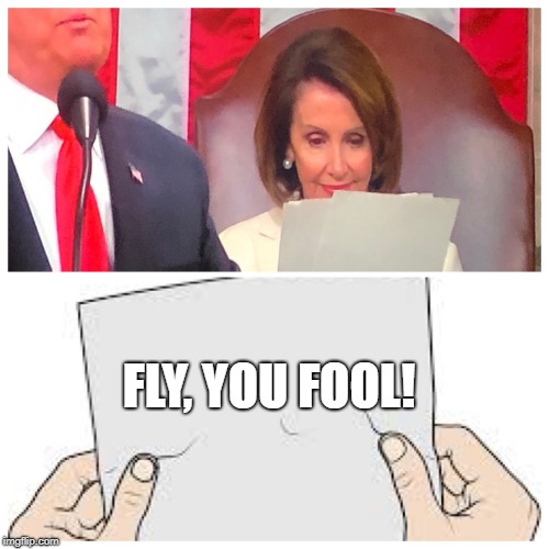 What was Pelosi reading? | FLY, YOU FOOL! | image tagged in what was pelosi reading | made w/ Imgflip meme maker