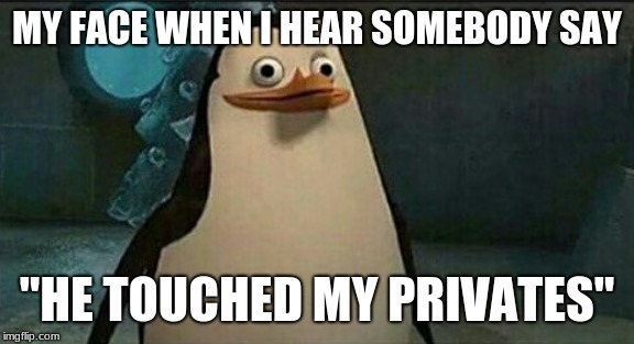 Confused Private Penguin | MY FACE WHEN I HEAR SOMEBODY SAY; "HE TOUCHED MY PRIVATES" | image tagged in confused private penguin | made w/ Imgflip meme maker