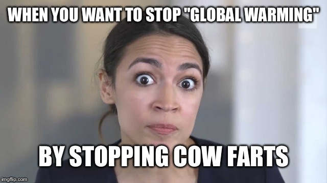 Crazy Alexandria Ocasio-Cortez | WHEN YOU WANT TO STOP "GLOBAL WARMING"; BY STOPPING COW FARTS | image tagged in crazy alexandria ocasio-cortez | made w/ Imgflip meme maker