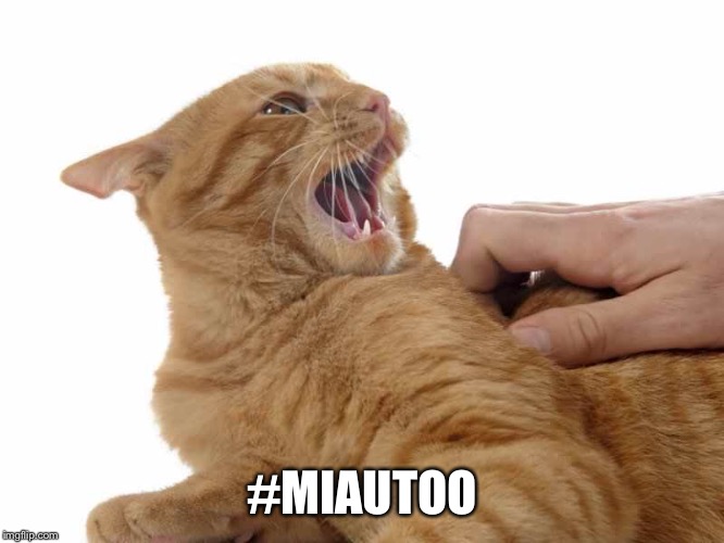 Bad touch!  | #MIAUTOO | image tagged in cats | made w/ Imgflip meme maker