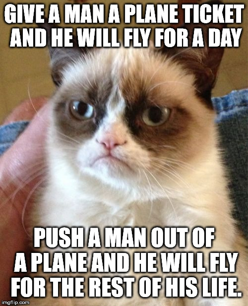 Grumpy Cat Meme | GIVE A MAN A PLANE TICKET AND HE WILL FLY FOR A DAY; PUSH A MAN OUT OF A PLANE AND HE WILL FLY FOR THE REST OF HIS LIFE. | image tagged in memes,grumpy cat | made w/ Imgflip meme maker