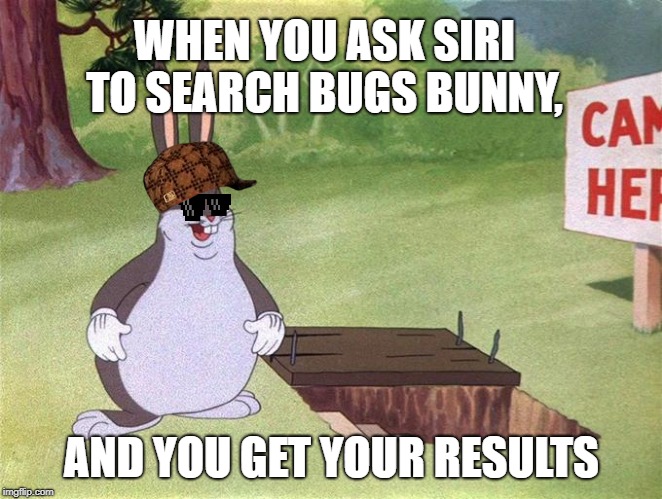 Big Chungus | WHEN YOU ASK SIRI TO SEARCH BUGS BUNNY, AND YOU GET YOUR RESULTS | image tagged in big chungus | made w/ Imgflip meme maker