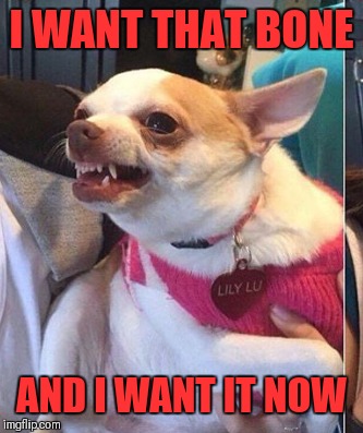 I WANT THAT BONE AND I WANT IT NOW | made w/ Imgflip meme maker