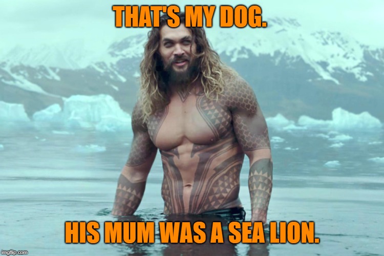 aquaman | THAT'S MY DOG. HIS MUM WAS A SEA LION. | image tagged in aquaman | made w/ Imgflip meme maker