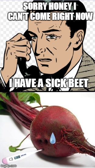 SORRY HONEY I CAN'T COME RIGHT NOW I HAVE A SICK BEET | made w/ Imgflip meme maker