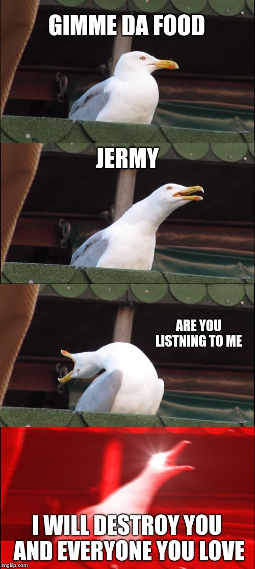 Inhaling Seagull | GIMME DA FOOD; JERMY; ARE YOU LISTNING TO ME; I WILL DESTROY YOU AND EVERYONE YOU LOVE | image tagged in memes,inhaling seagull | made w/ Imgflip meme maker