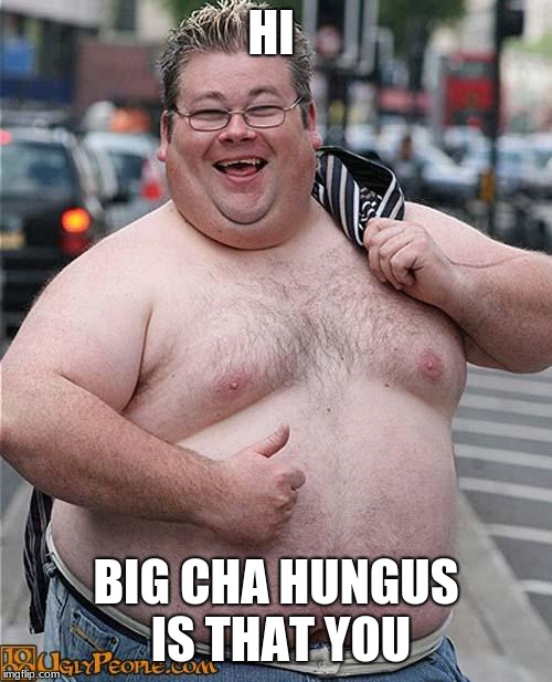 fat guy | HI; BIG CHA HUNGUS IS THAT YOU | image tagged in fat guy | made w/ Imgflip meme maker