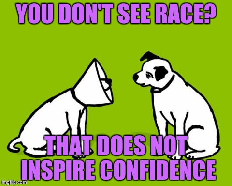 YOU DON'T SEE RACE? THAT DOES NOT INSPIRE CONFIDENCE | image tagged in cone dog | made w/ Imgflip meme maker