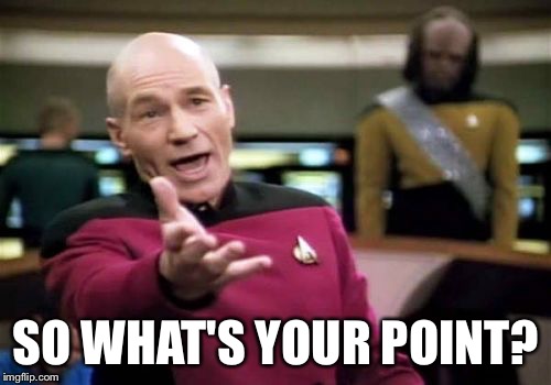 Picard Wtf Meme | SO WHAT'S YOUR POINT? | image tagged in memes,picard wtf | made w/ Imgflip meme maker