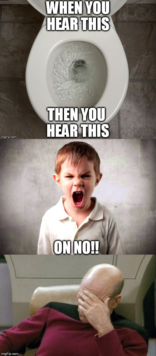 WHEN YOU HEAR THIS; THEN YOU HEAR THIS; ON NO!! | image tagged in memes,captain picard facepalm,kid yelling | made w/ Imgflip meme maker