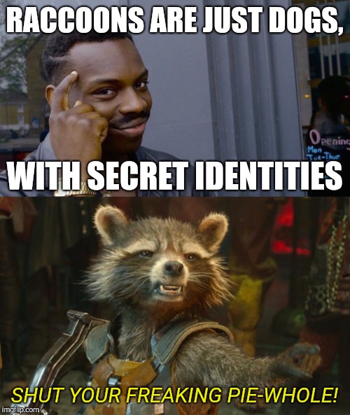 RACCOONS ARE JUST DOGS, WITH SECRET IDENTITIES; SHUT YOUR FREAKING PIE-WHOLE! | image tagged in rocket raccoon,memes,roll safe think about it | made w/ Imgflip meme maker