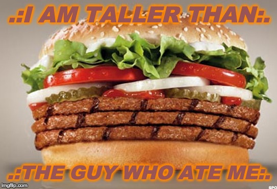 burger | .:I AM TALLER THAN:. .:THE GUY WHO ATE ME:. | image tagged in burger | made w/ Imgflip meme maker