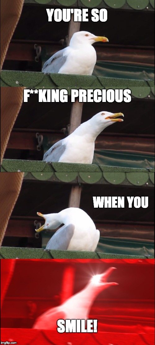Inhaling Seagull | YOU'RE SO; F**KING PRECIOUS; WHEN YOU; SMILE! | image tagged in memes,inhaling seagull | made w/ Imgflip meme maker