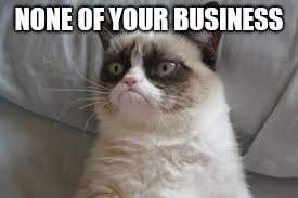 Grumpy cat | NONE OF YOUR BUSINESS | image tagged in grumpy cat | made w/ Imgflip meme maker