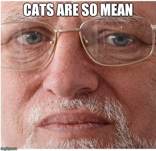 CATS ARE SO MEAN | made w/ Imgflip meme maker