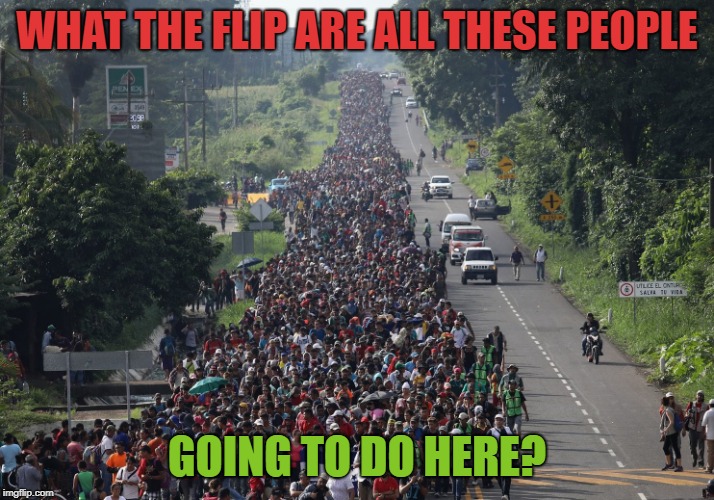 Migrant Caravan | WHAT THE FLIP ARE ALL THESE PEOPLE; GOING TO DO HERE? | image tagged in migrant caravan | made w/ Imgflip meme maker