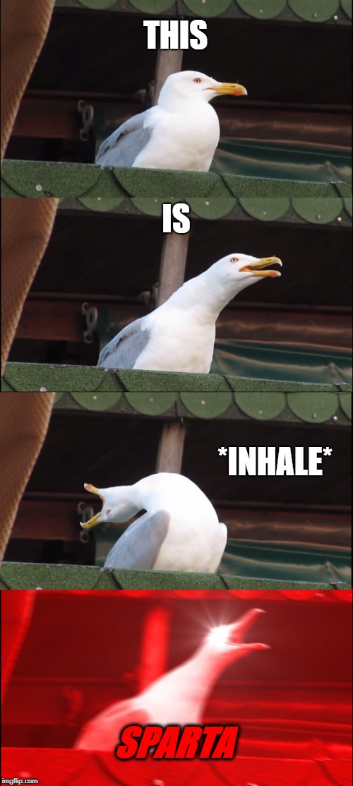 Inhaling Seagull Meme | THIS; IS; *INHALE*; SPARTA | image tagged in memes,inhaling seagull | made w/ Imgflip meme maker