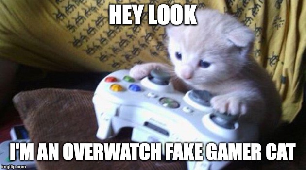 mlg cat | HEY LOOK; I'M AN OVERWATCH FAKE GAMER CAT | image tagged in mlg cat | made w/ Imgflip meme maker