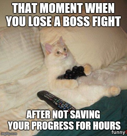 THAT MOMENT WHEN YOU LOSE A BOSS FIGHT AFTER NOT SAVING YOUR PROGRESS FOR HOURS | image tagged in cats,gamer | made w/ Imgflip meme maker